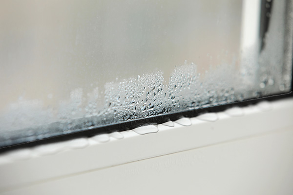 PVC Window with Condensation